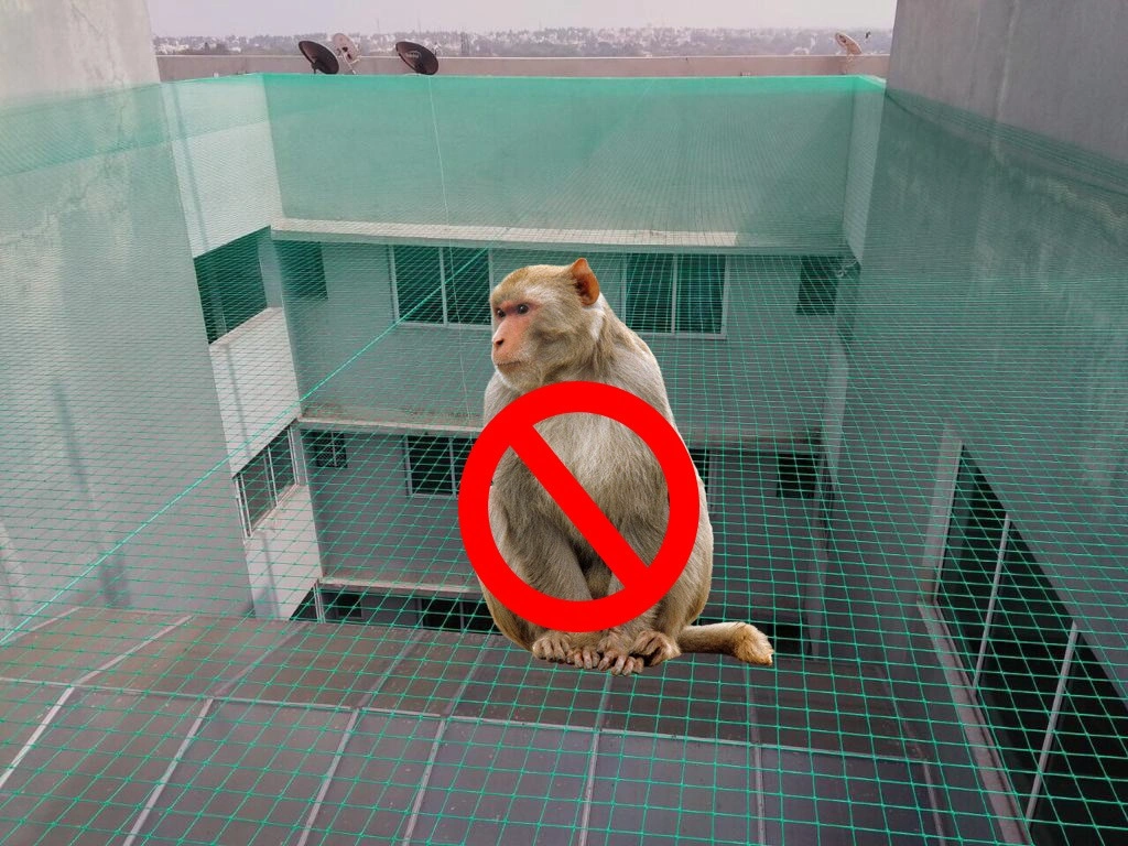 Monkey Safety Nets Installation in Hyderabad