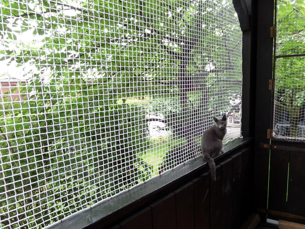 Pet Safety Nets Installation in Hyderabad